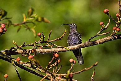 RTX4090运行《刺客信条：奥德赛》8K画面展示